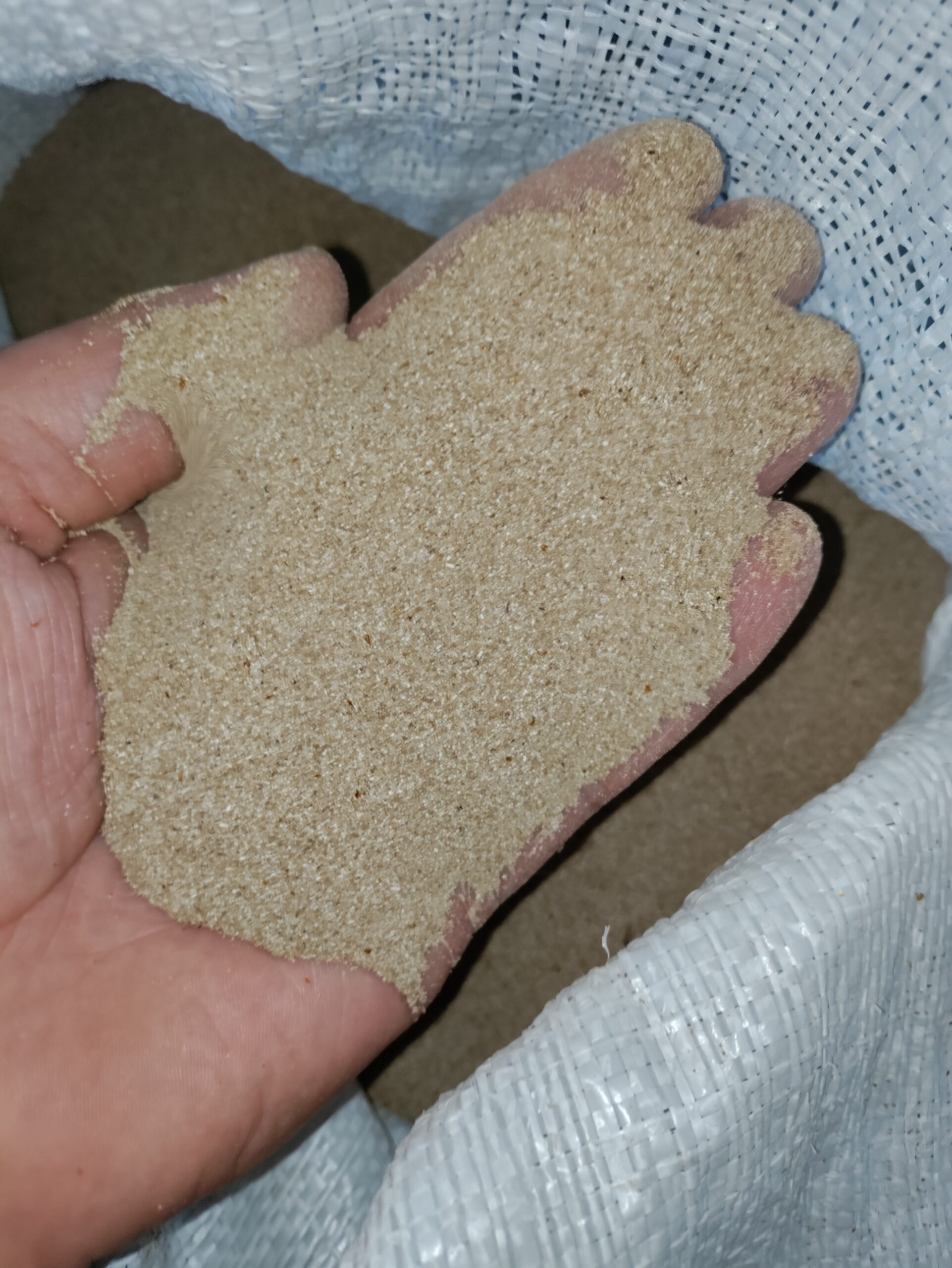 Mano sosteniendo frass de Tenebrio molitor