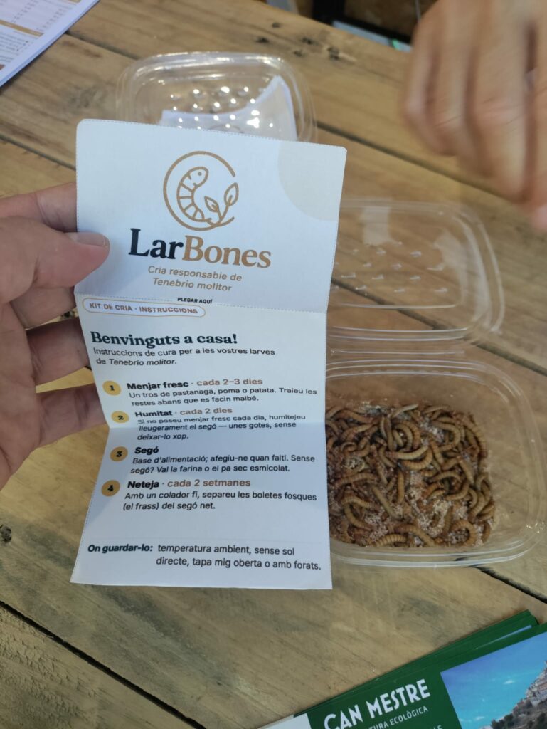 Targeta d'instruccions del kit "Benvinguts a casa" desplegada, amb un tupper de larves al costat